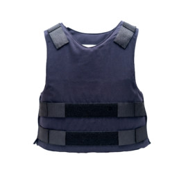 Sentinel Internal Carrier